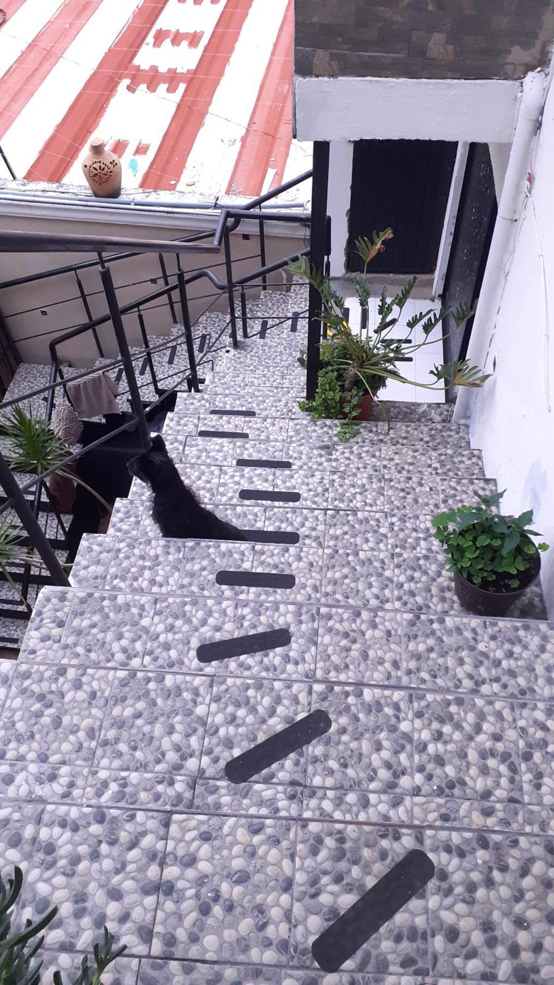 Aparta-Hotel Casa Real Apartamentos Чапала Номер фото